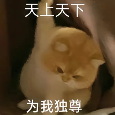 Snowy031120's profile picture. Playing for Team Gateron