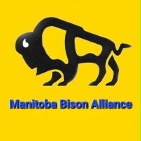 Manitoba Bison Alliance(@BisonAllyMB) 's Twitter Profile Photo
