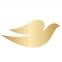 DoveUK Profile Picture