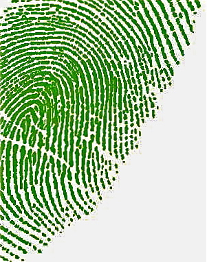 Greenthumbgroup's profile picture. Green Thumb is a small business serving Middle Tennessee. We specialize in Landscape, Irrigation, Hardscapes, Ponds, Lighting, Junk Hauling & Handyman projects.