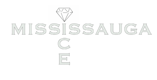Mississauga Ice: premium importer of Gucci and other iced out products.