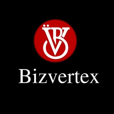 bizvertex Profile Picture