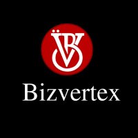 bizvertex(@bizvertex) 's Twitter Profile Photo