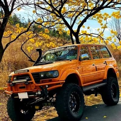 PhongNg28173847's profile picture. DONATRUM