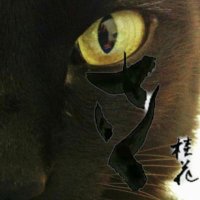 ゆうさく (@sakugatari) Twitter profile photo