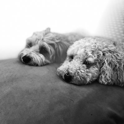 rajc27's profile picture. Be kind.