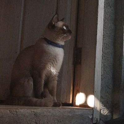 remieeeeeeeeee's profile picture. I lived in a garden of withered hydrangeas, but I can still offer fresh roses.

Navigating life one day at a time.