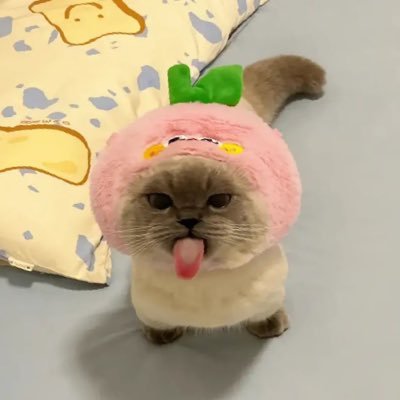 ทิว 🍪🥛🏖️さんのプロフィール画像