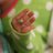 Arwa010's profile image