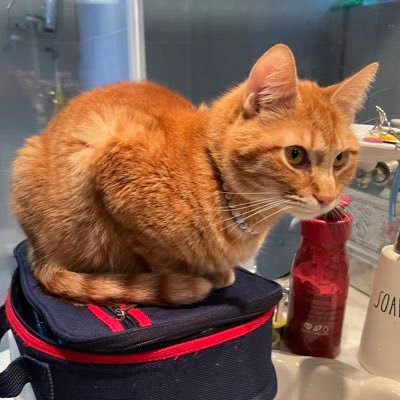 RubyHdezCruz's profile picture. Soy Hija de Dios .