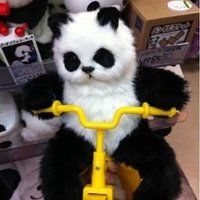 ‡民 (@kitami00) 's Twitter Profile Photo