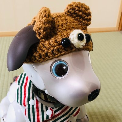 1匹のAIロボット犬、1羽のお喋りインコを飼っています。アマチュア無線は、FT-8,D-STAR,APRS  1.8MHz-1200MHzまでQRV。電子QSLは、hQSL/ LoTW/eQSLに対応しています。ライセンスフリーは主にデジタル簡易無線を楽しんでいますのでお空の上でぜひお会いしましょうね。