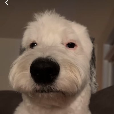 Kaitian66's profile picture. Do things