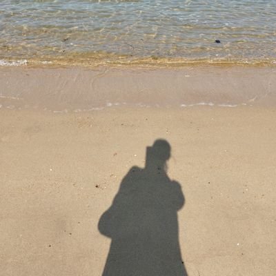 shell_h1_2031's profile picture. 静岡👶→愛知・中国成都👩🏻‍🎓→大阪🛍️→静岡👩🏻‍💼