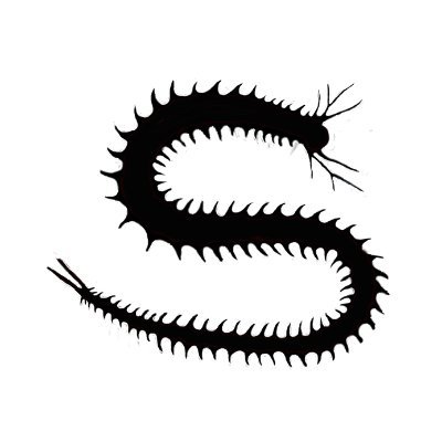 Promoting the sustainable culture of marine polychaetes; creating, identifying and selling sustainable feeds for a more sustainable aquaculture industry.