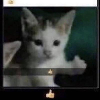 Sillicatte_siO4's profile picture. Imma silly 😼