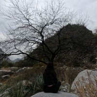 😿 (@__coolcat___) 's Twitter Profile