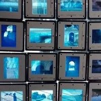 Andrew Berkeley (@spatchcockable) 's Twitter Profile