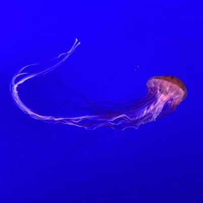 エイトさんのプロフィール画像