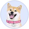 dogegftoken's profile picture. Warm-hearted community fuelled by the magic of reciprocity • Telegram https://t.co/fP4G3kyUXh • #ERC20 token • Based

#DogeGF $DOGEGF