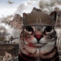 Warcat on SOL (🪖,😾)(@WarcatOnSol) 's Twitter Profile Photo