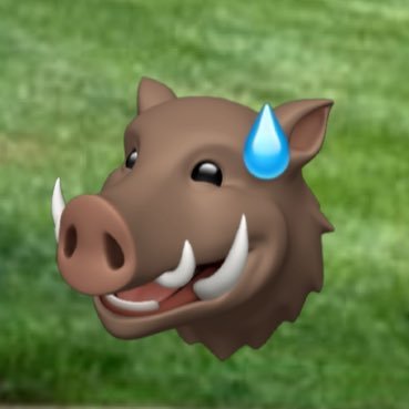 MonsieurJoli's profile picture. sup