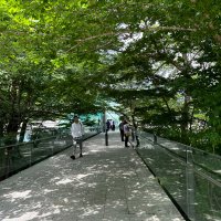 シュカ (@shuka777777) Twitter profile photo