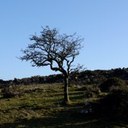 Anna warburton - @Misspeaks - Twitter