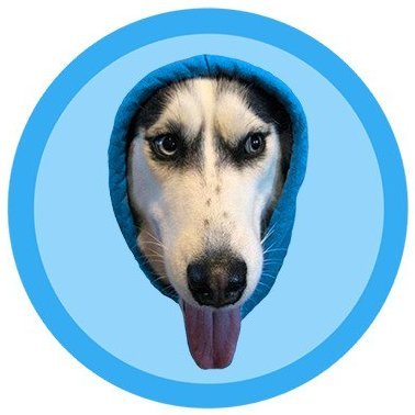 Hey, its Pavel Durov's dog wif a hood. Telegram: https://t.co/aoafENFhC1

https://t.co/0sEGcybZfq