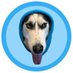 dogwifhood (@dogwifhoodTON) Twitter profile photo