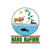 NARO_NaFIRRI(@nafirri) 's Twitter Profile Photo