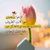 fathi (@fathi91433325) 's Twitter Profile