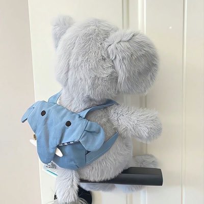 qillwly's profile picture. 