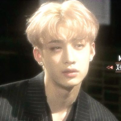 19 | skz ult | txt | the rose | seventeen | ateez | ♡⸝⸝🪐༘