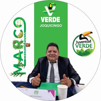 Representante del Partido Verde Ecologista de México en Joquicingo