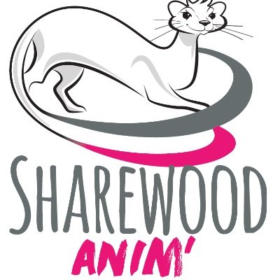 Compte officiel de Sharewood Anim'
Expert en #animations et #création d'animations, de #jeux et de #seriousgames pour #entreprises et #collectivités