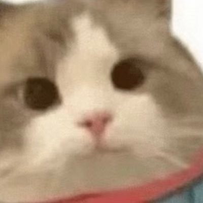 imrobot111's profile picture. 