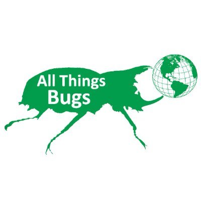 AllThingsBugs Profile Picture