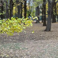 穴埋め用アカウント (@aoyama_mr1_2023) 's Twitter Profile