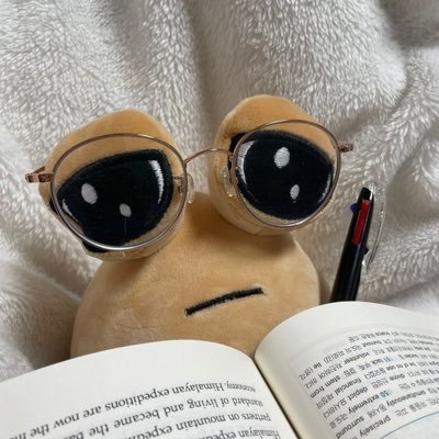 hauioo's profile picture. 