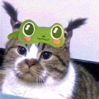 longlongago (@dreamthefog) 's Twitter Profile Photo longlongago (@dreamthefog) 's Twitter Profile Photo
