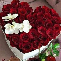 أم محمد أمين (@mamhmdamyn1) 's Twitter Profile Photo