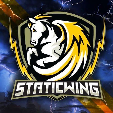 🗲StaticwinG🗲 Profile