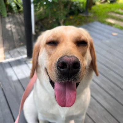 itschmp's profile picture. IT8KMITL | ITCheerleader | SMO IT | Suthi Computer Club | Chill Out, Easygoing, and Smiley :D