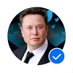 Elon Musk (@forrealMuskElon) Twitter profile photo