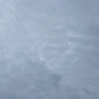 tyz (@tyrzra) 's Twitter Profile