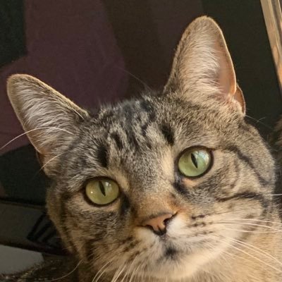 HandsomeboyFred's profile picture. 