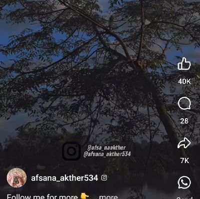 USheuly's profile picture. 