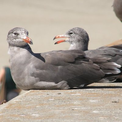 CoffeecrispMe's profile picture. 