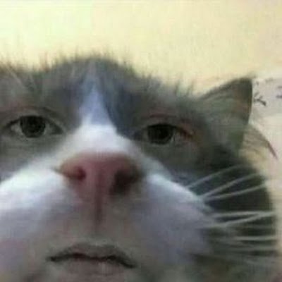benauskas94570's profile picture. Love entering giveaways 😆. Giveaways won - 0 🥲. steam trade ID - https://t.co/3eCLvdERf0